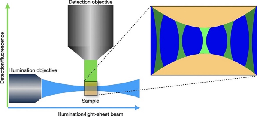 Image Reconstruction in Light-Sheet Microscopy - Spatially Varying Deconvolution and Mixed Noise