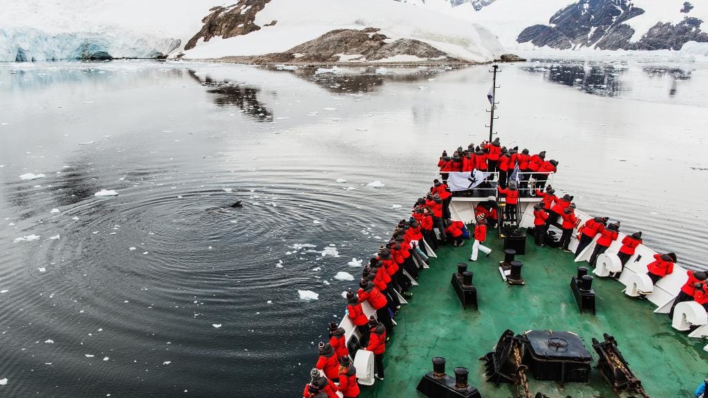 A previous Homeward Bound expedition. Photo provided by Homeward Bound Projects.