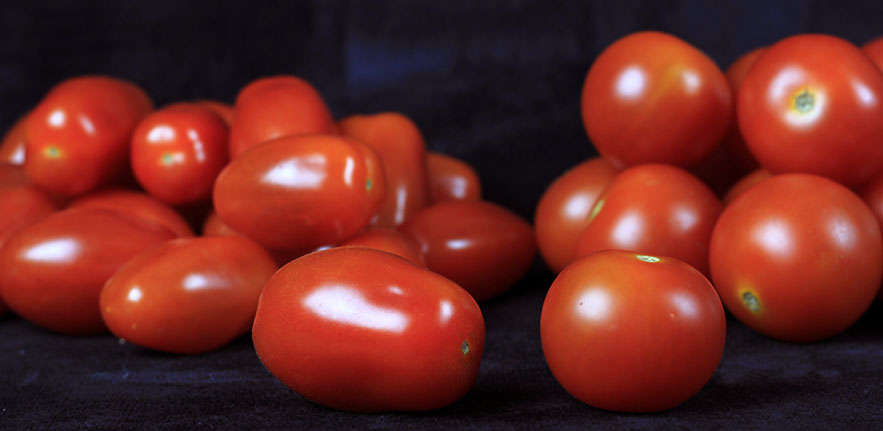 Rider transposons are well-known for causing the elongated shape that we see in plum tomatoes, but new research has found they may also play an important role in a plant's response to drought.