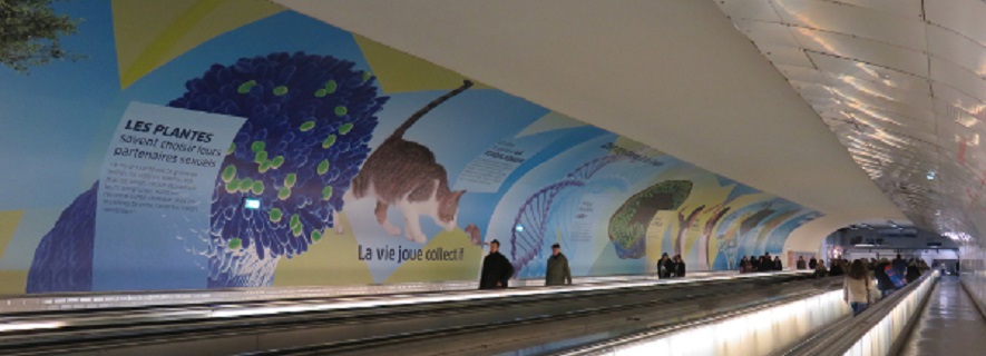 Plants know how to choose their sexual partners (Lucie Riglet) featured in the Astonishing Living Exhibition at the Montparnasse-Bienvenüe Station.