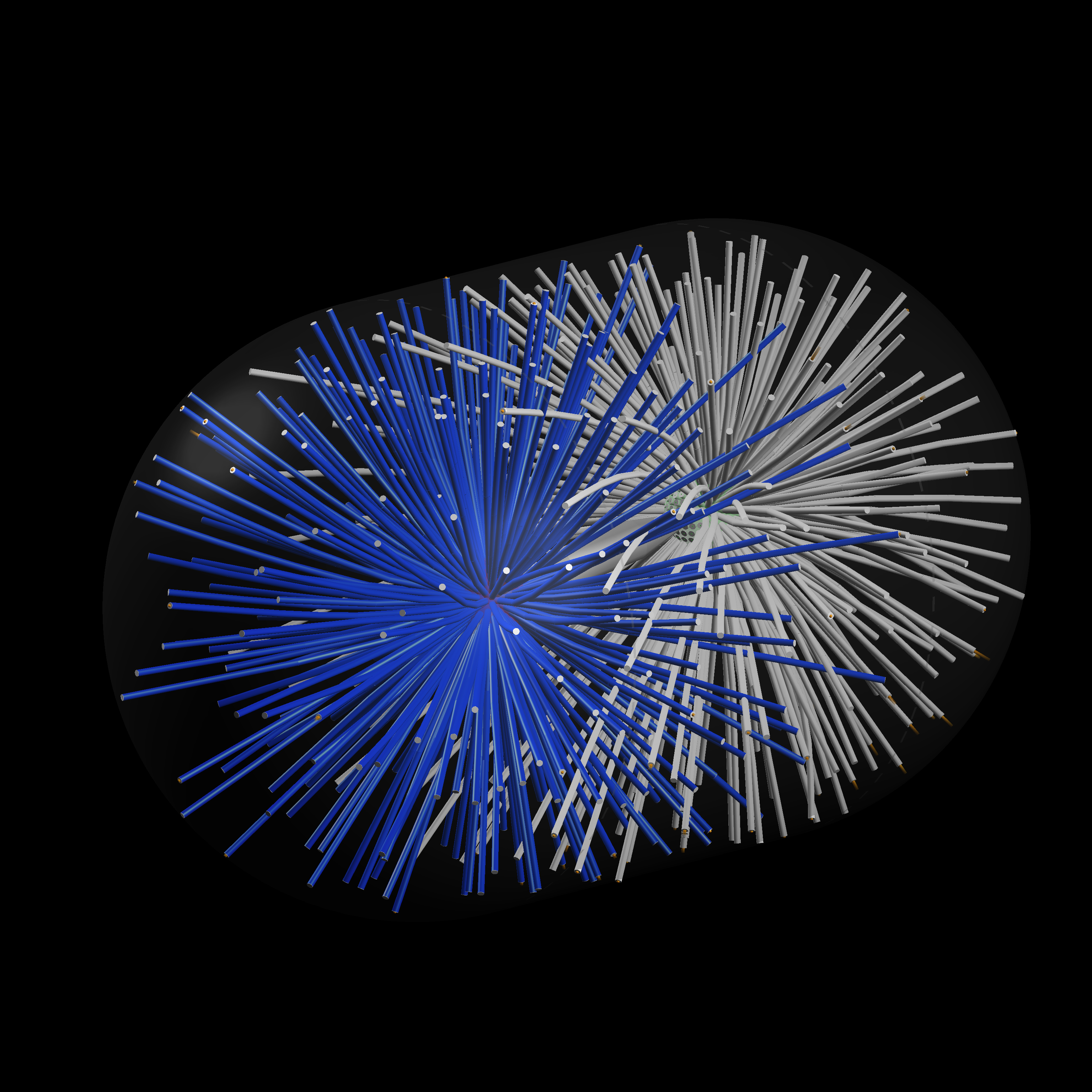 3D simulation of mitotic spindle movements in the cell.  Copyright Francois Nedelec