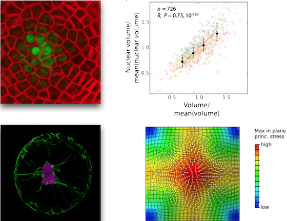  plot showing the size relation betwe