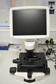 Life Technologies EVOS FL