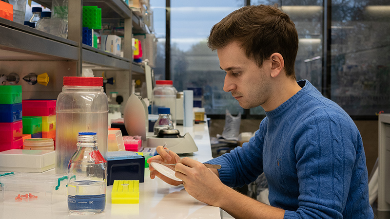 SLCU PhD student Fabrizio Ticchiarelli working at his lab bench.