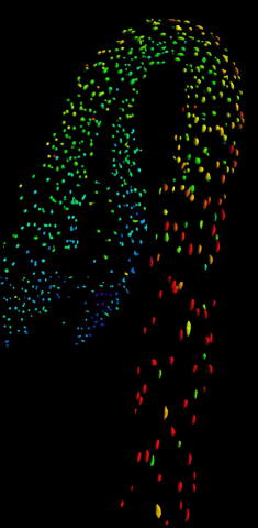 Biosensor imaging of dark grown hypocotyl showing a GA gradient with high GA in elongated cells.