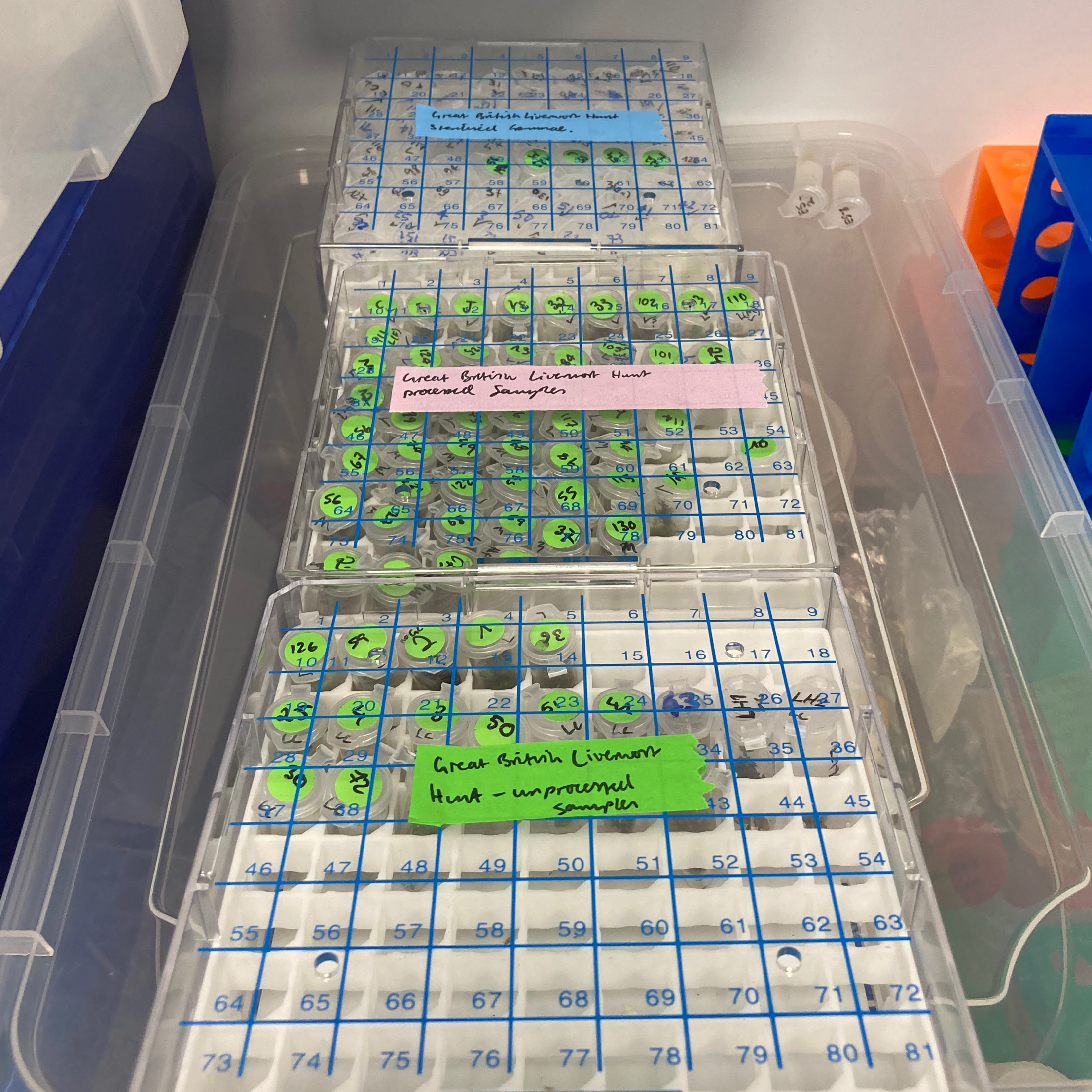 The liverwort samples go into a cold store when they arrive until we can grow them on plates