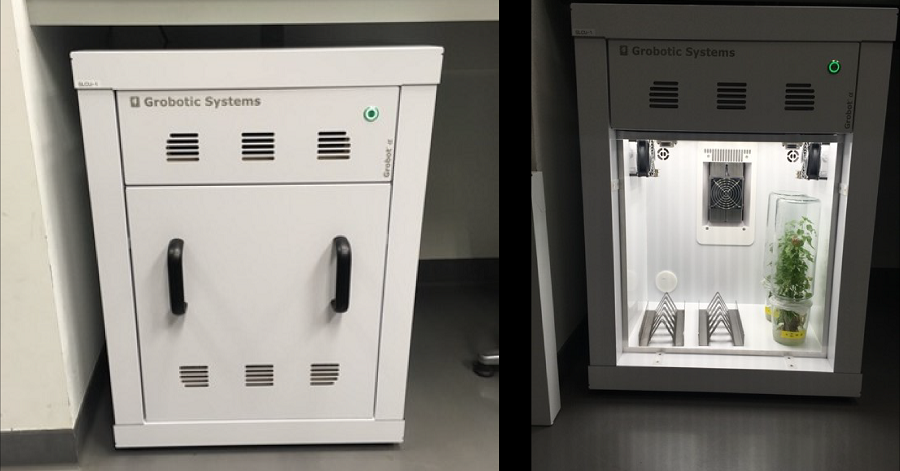 Grobotic Systems growth chamber - external photo of chamber on left and door open on right showing shelving and plants growing