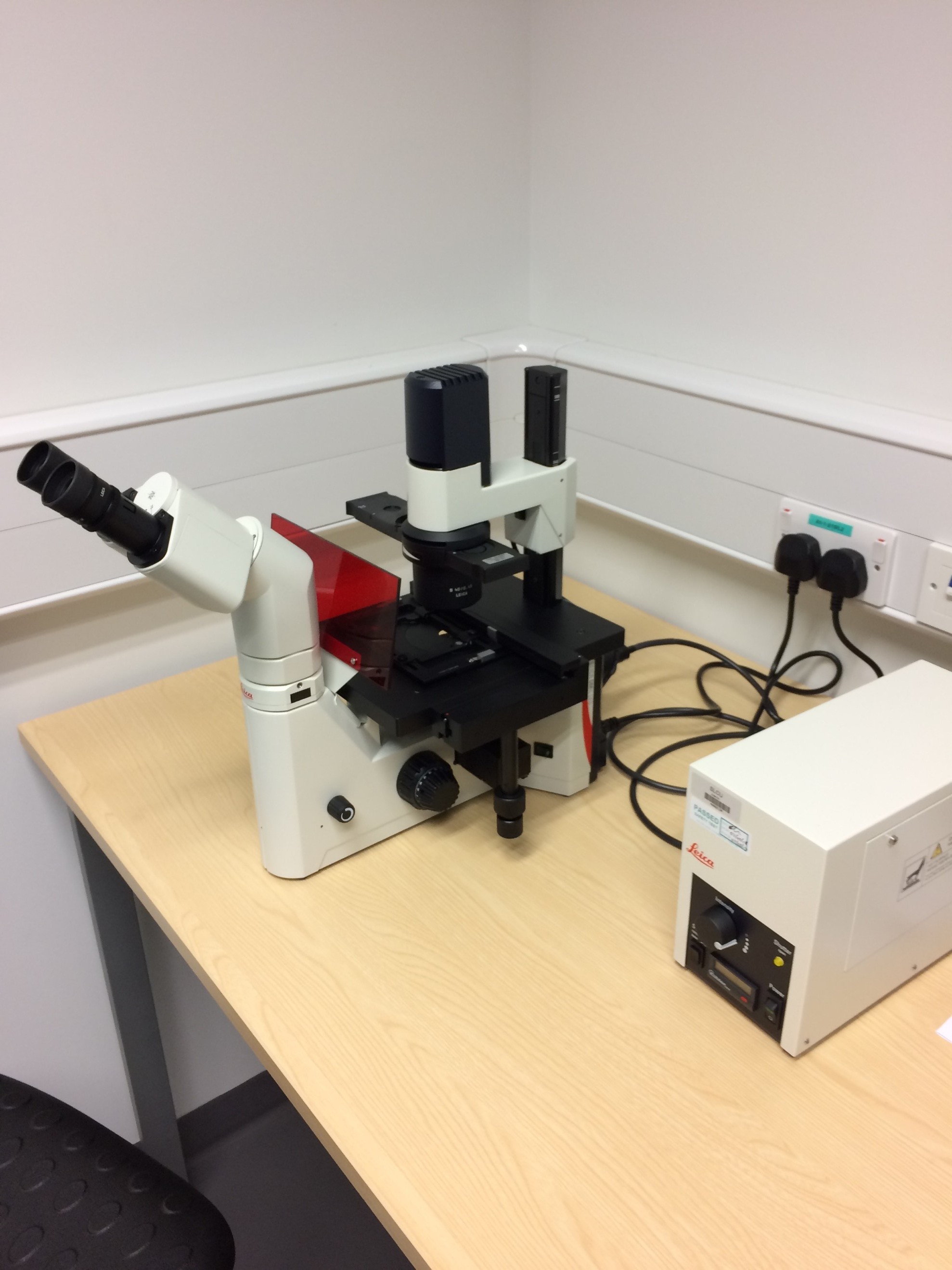 Inverted Fluorescence Microscope Leica DM IL LED