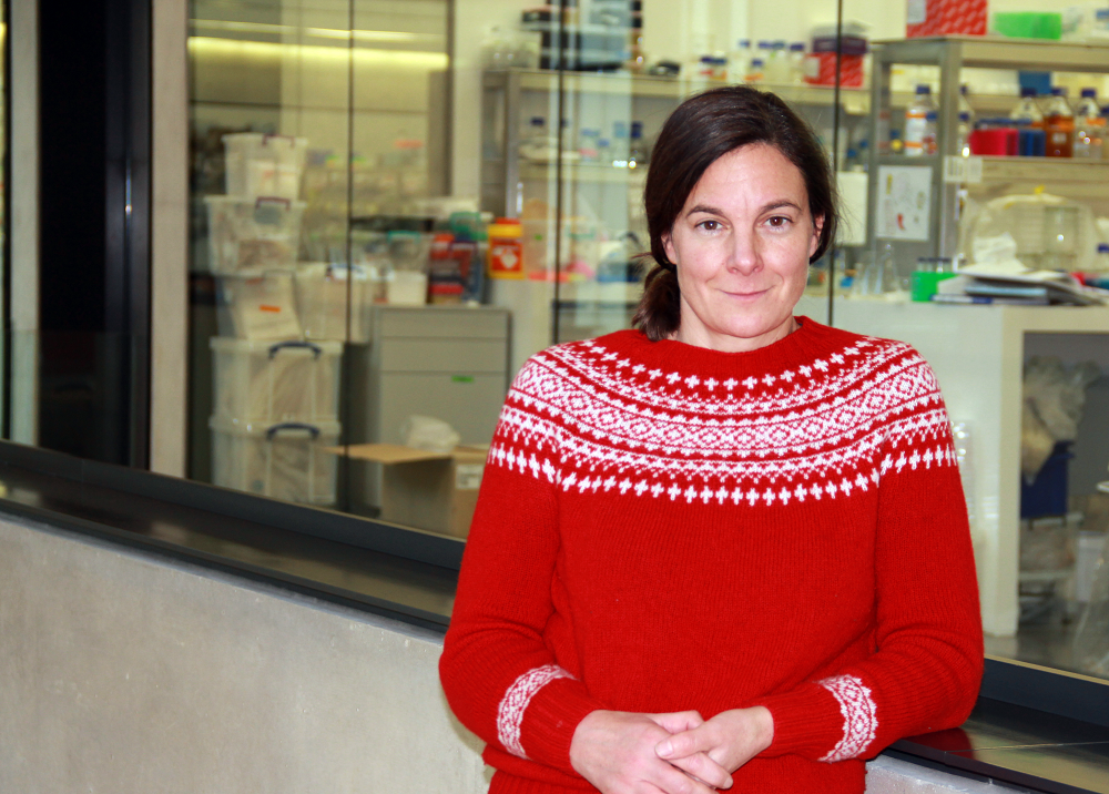 Dr Katharina Schiessl pictured in the Sainsbury Laboratory with lab areas in background