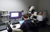 Leica-Renishaw SP8-FLIMan