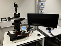 Leica Thunder Imager Model Organism microscope