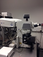 LSM880 upright confocal