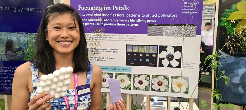 May Yeo, pictured at the Sainsbury Laboratory exhibit at the RHS Chelsea Flower Show.