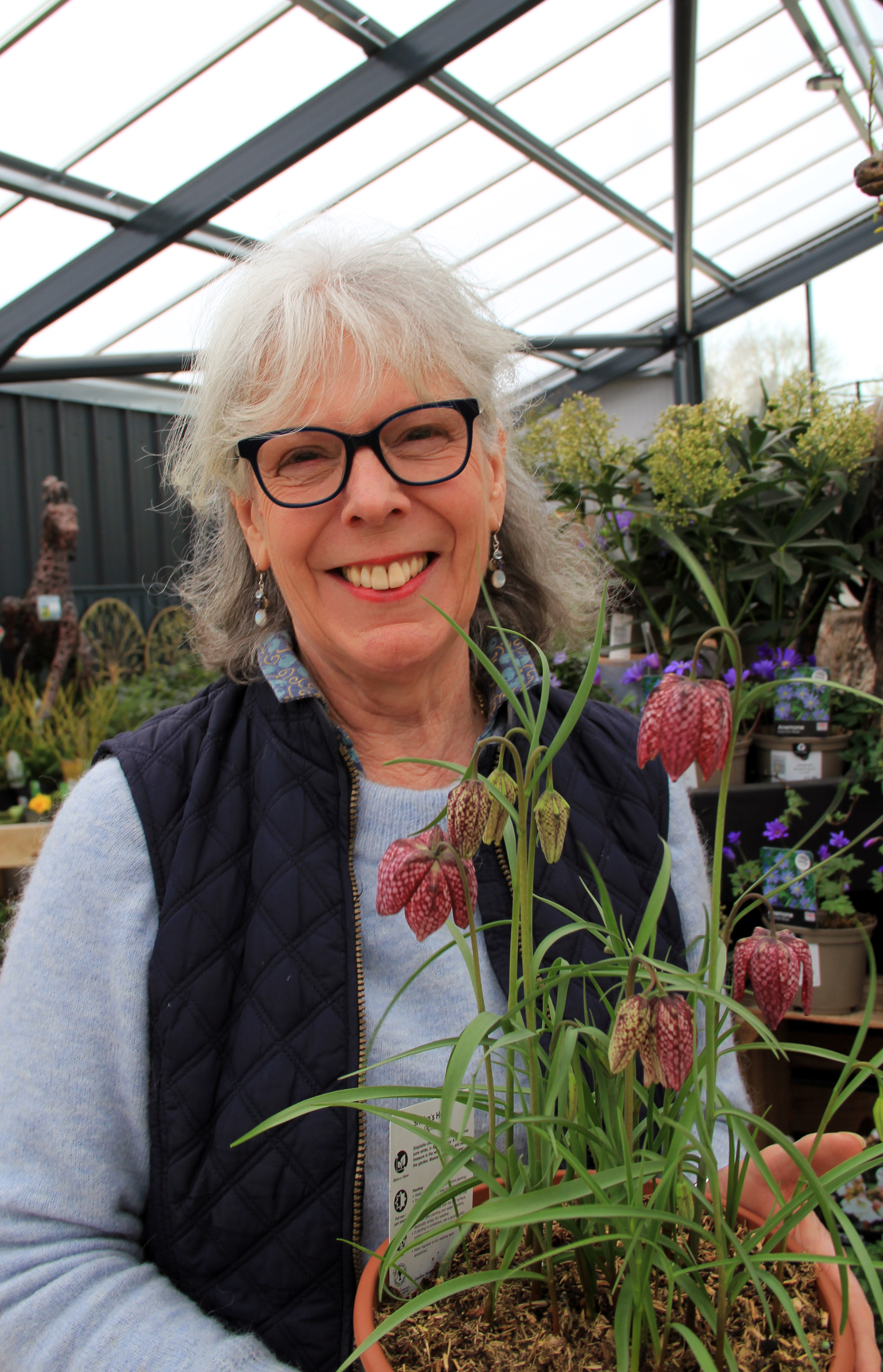 Melanie Sadler holding a Fritillaria meleagris (snake's head fritillary).