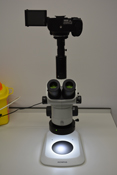  Olympus stereo microscope with SLR