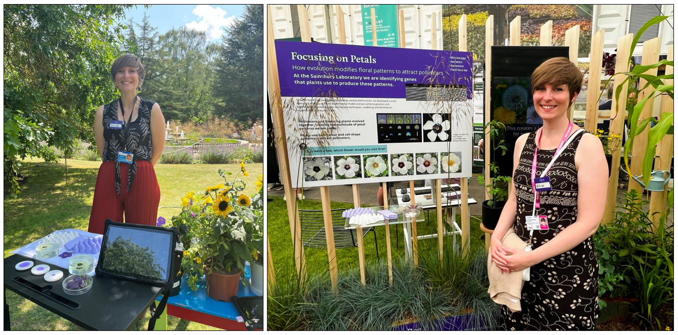 Edwige Berthelot communicating about her research on petal patterning at public outreach events, the Festival of Plants (left) and RHS Chelsea Flower Show (right).