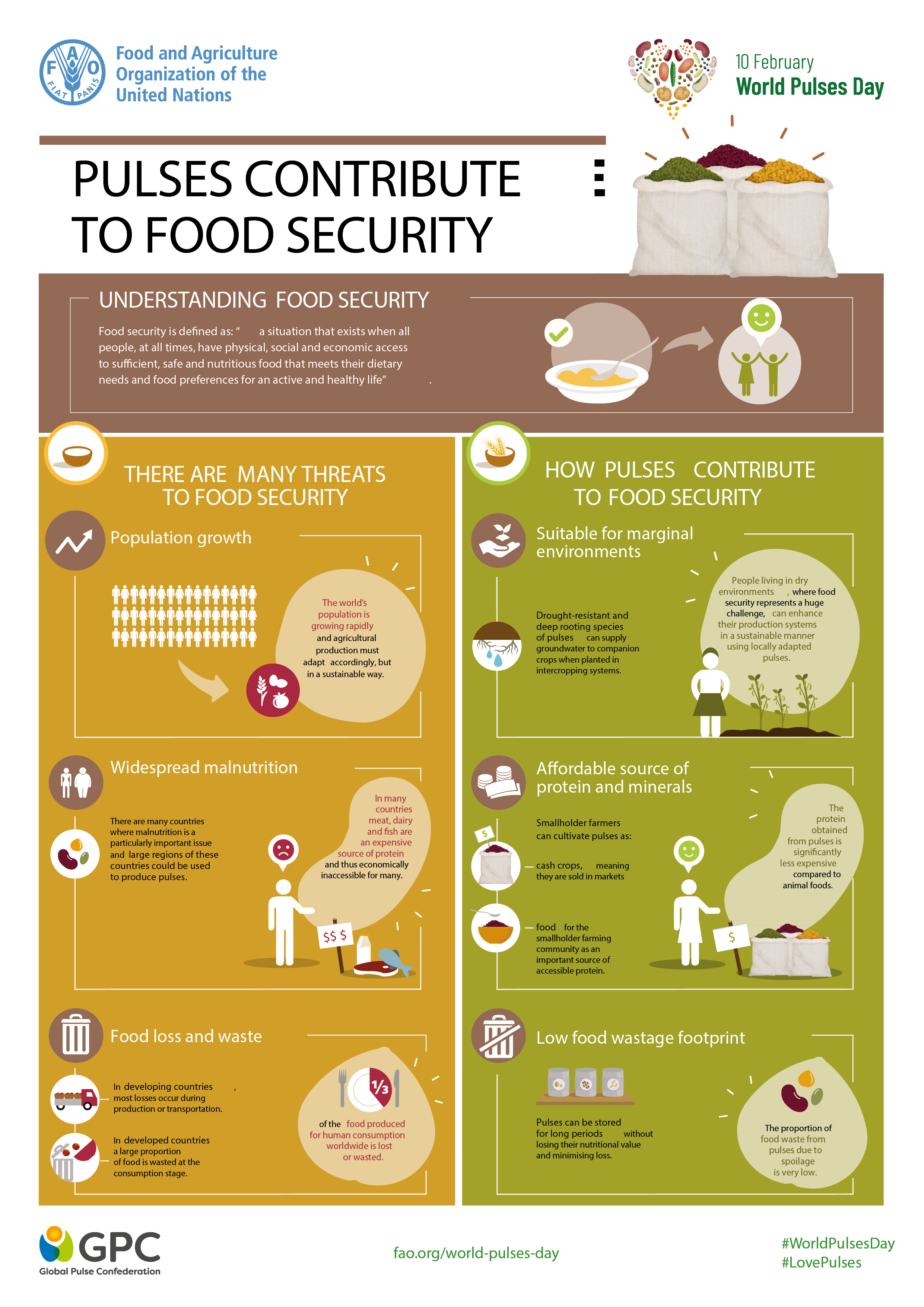 Infographic describing how pulses contribute to food security