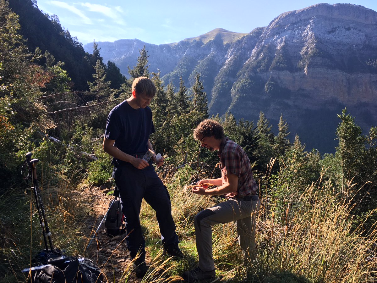Ray Wightman and Simon Wallis collecting plants in the Spanish Pyrenees