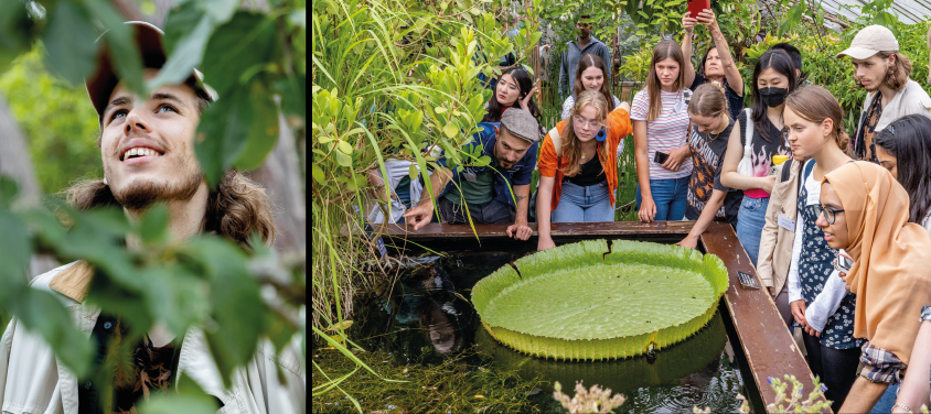 Attendees at Rootstock 2024 doing a guided tour of the Cambridge University Botanic Garden