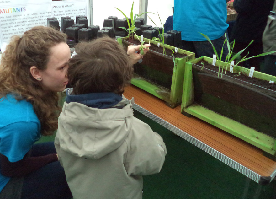 Science Festival 2015 Root Boxes
