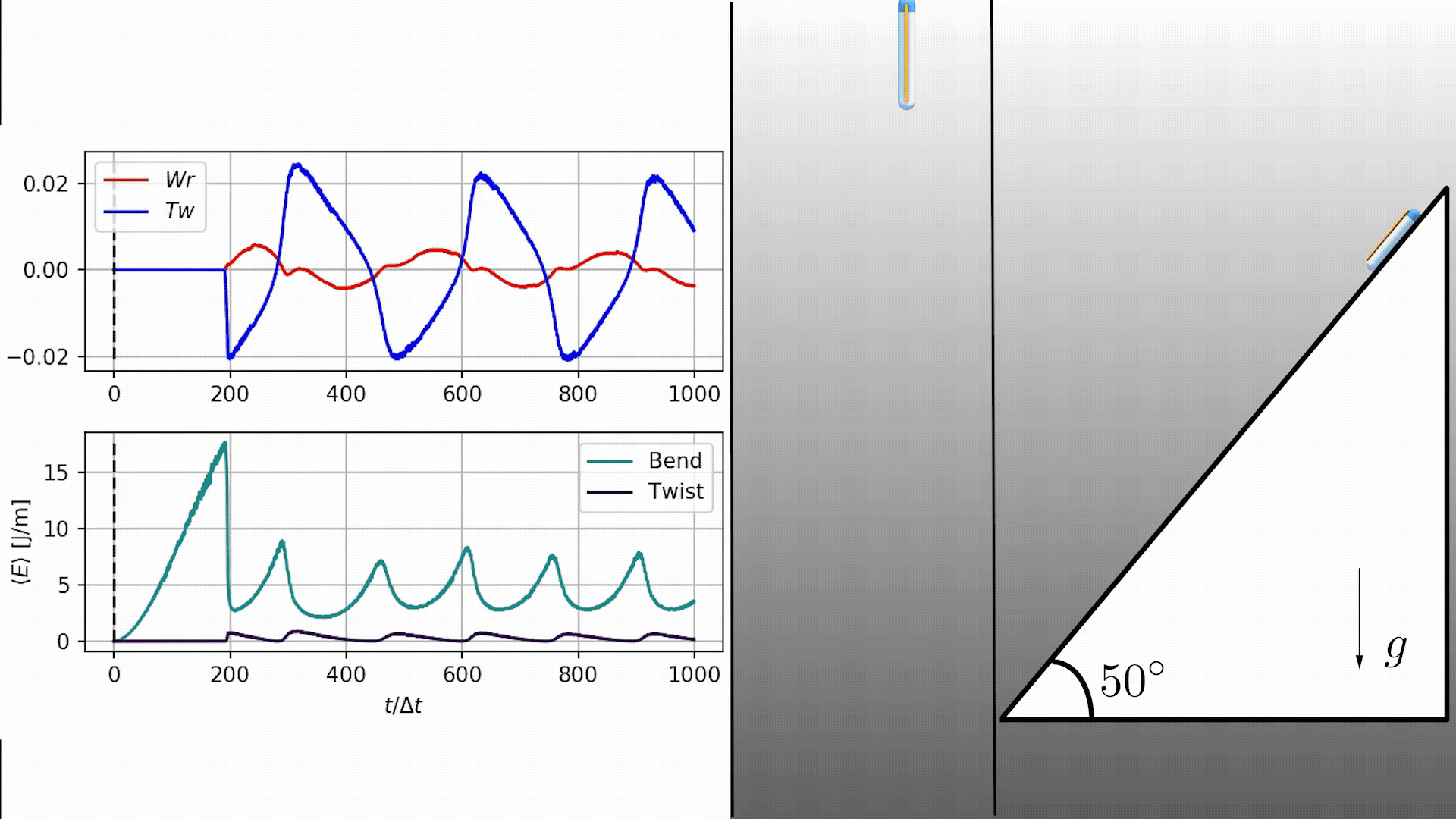 Movie of simulation that reproduces waving and coiling of Arabidopsis thaliana root as it growns down an inclined agar plate. On the left is a graph showing corresponding planar tip angle as the root grows.  Simulation by Amir Porat.