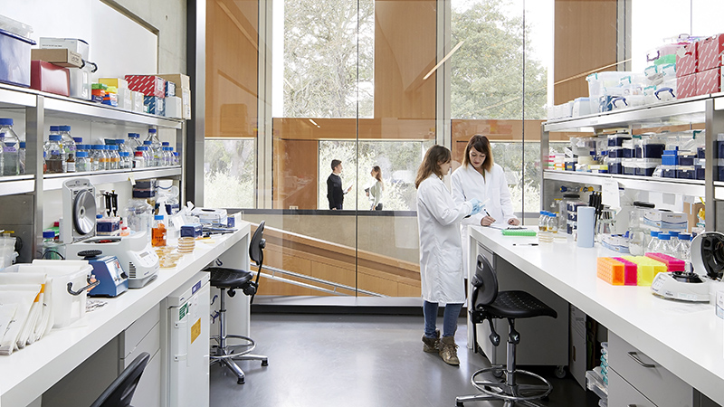 Two SLCU researchers chatting at lab bench with glass wall behind them looking out to walkway in SLCU building.