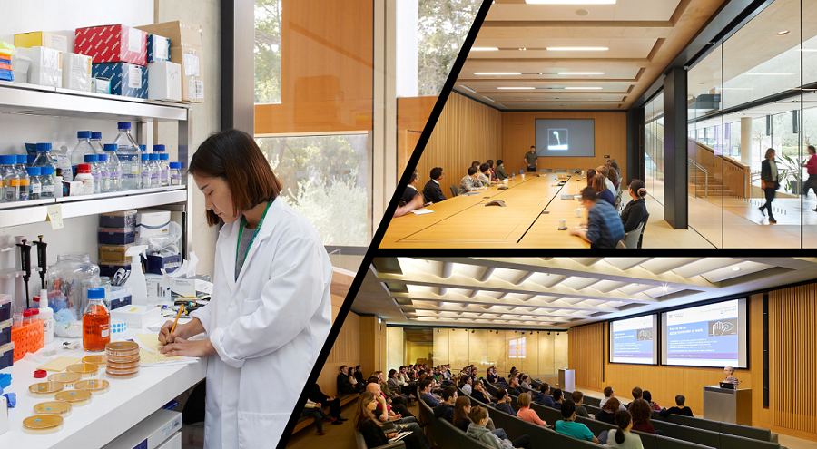 Collage of images of SLCU scientists working in lab, watching a seminar in auditorium and in a meeting room.