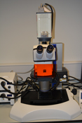 Zeiss V12 stereofluorescence microscope