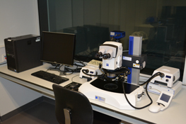 Zeiss V12 Stereofluorescence microscope