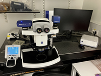 Zeiss V20 Microscope