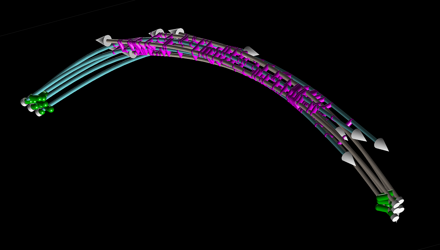 Simulated mitotic spindle with microtubules (white) and cross-linking proteins (purple). Copyright Francois Nedelec