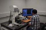 Zeiss LSM700 upright confocal
