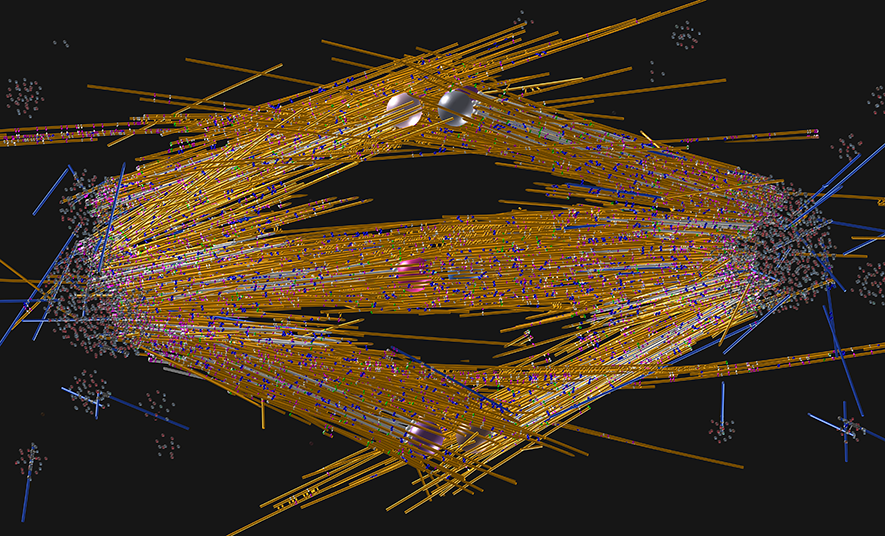 A model of the mitotic spindles found in plant roots. The chromosomes, represented here by their kinetochores (two spheres for each chromosome), reside in the middle of the picture. Around them are microtubules (yellow, white, and blue lines).