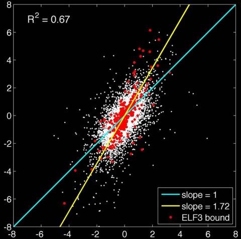 jager group research_ data to understand gene regulatory networks.jpg