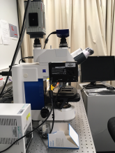 Zeiss Axioimager microscope with Vivatome