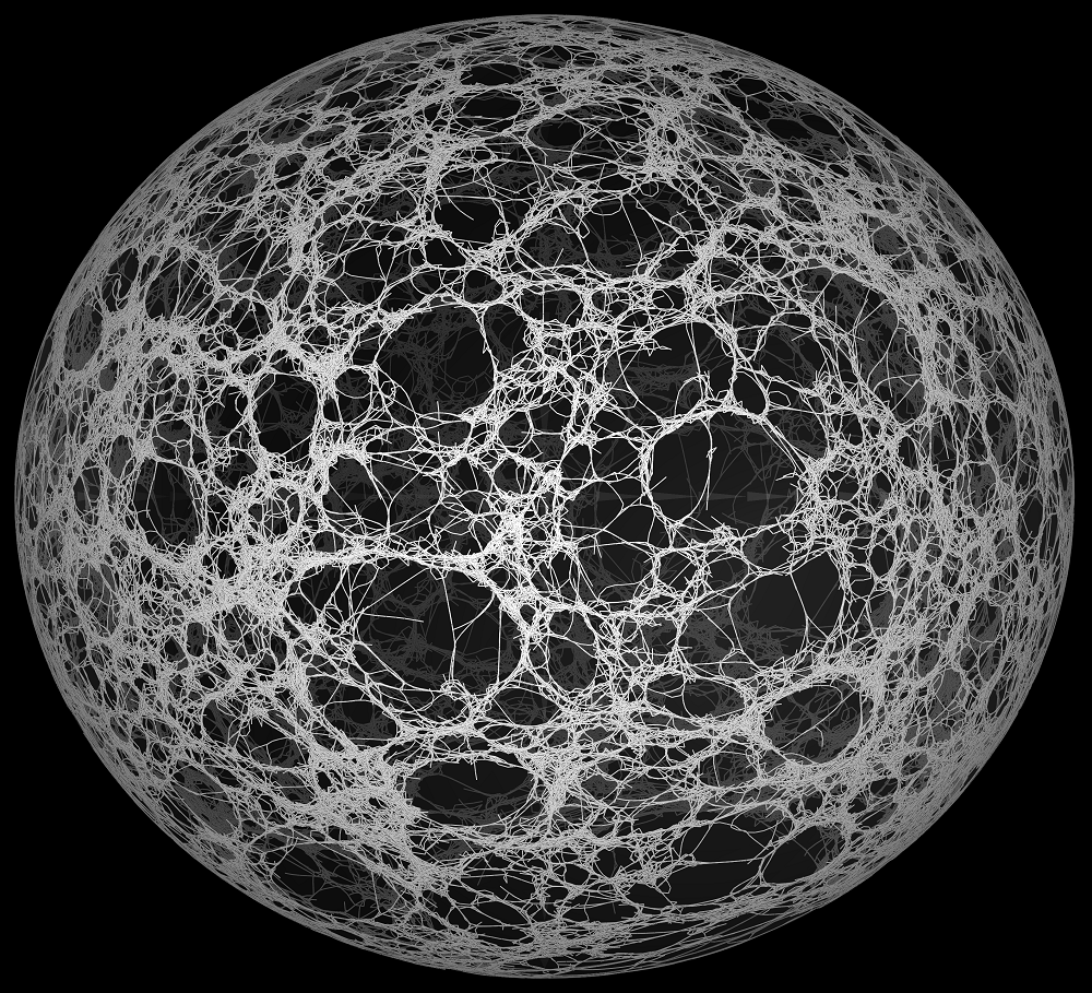 3D simulation of a contractile network made of actin filaments (white). Copyright Francois Nedelec 3D simulation of a contractile network made of actin filaments (white). Copyright Francois Nedelec