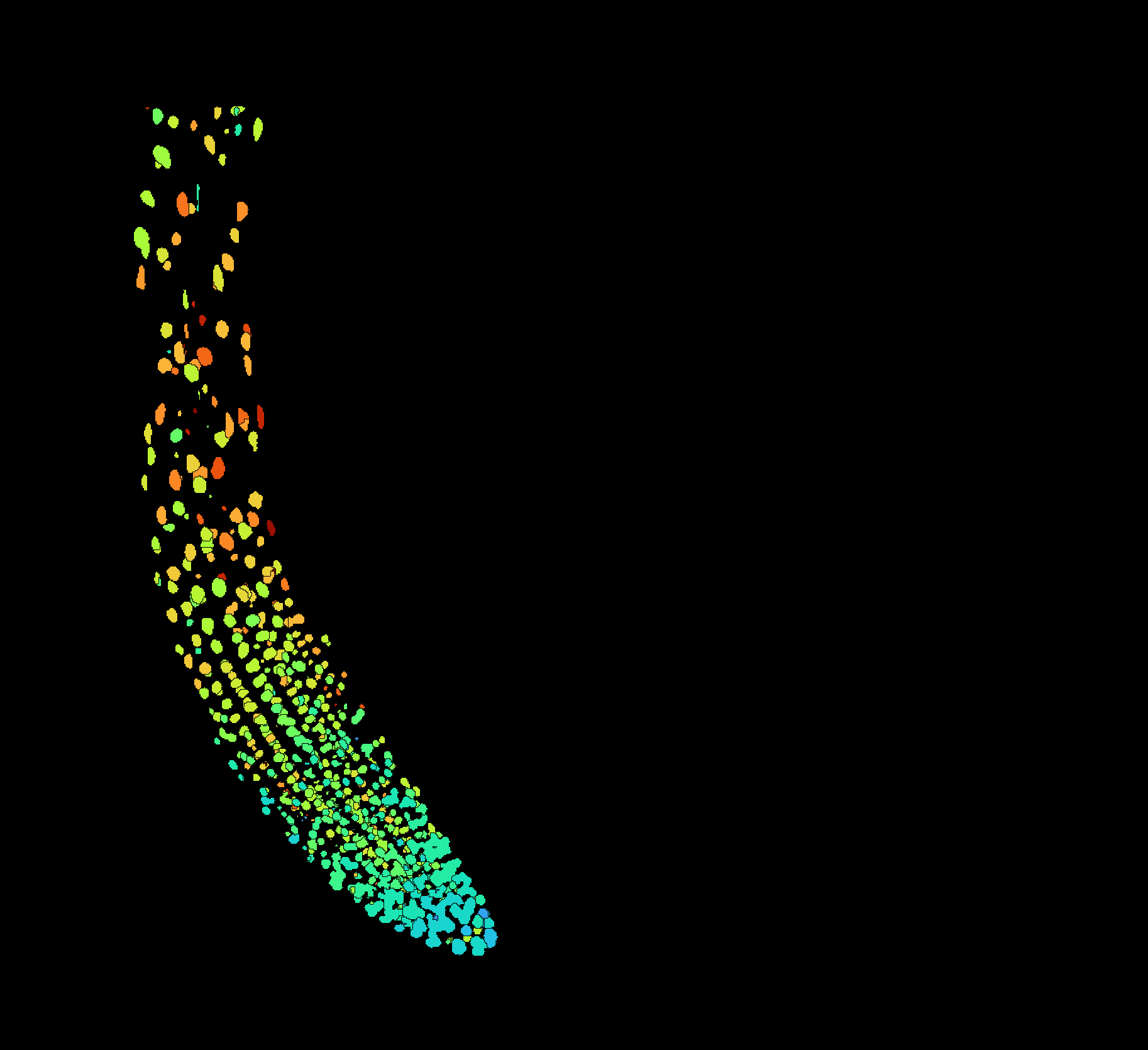 4. ABA levels increase in roots at low humidity. Blue: Low ABA, Red: high ABA. 4. ABA levels increase in roots at low humidity. Blue: Low ABA, Red: high ABA.