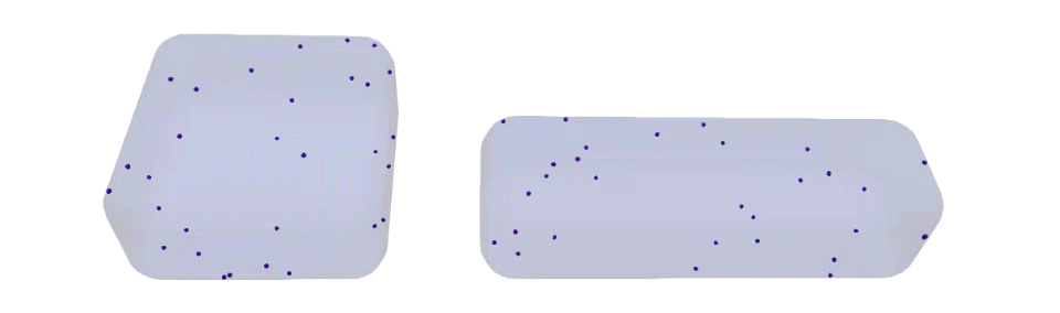 Computational simulations of the microtubule network in two differently shaped cells Computational simulations of the microtubule network in two differently shaped cells
