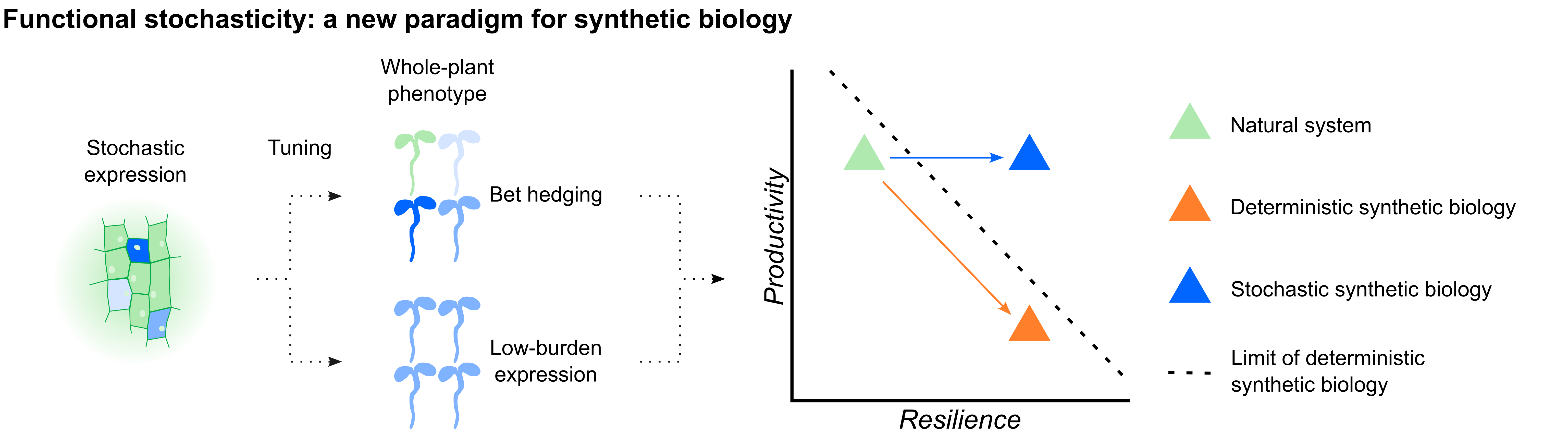 Plant synthetic biology to date has taken a deterministic approach to programming plants, with attempts focusing on maximising magnitude and uniformity of expression, while minimising stochasticity. Graphic by Chris Micklem. Plant synthetic biology to date has taken a deterministic approach to programming plants, with attempts focusing on maximising magnitude and uniformity of expression, while minimising stochasticity.