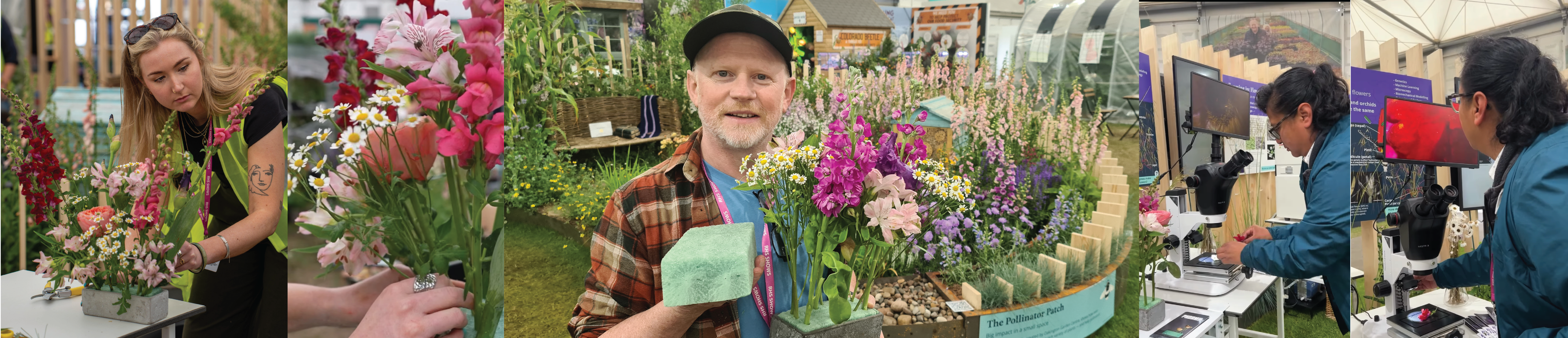 Montage of images from our flower dissecting science station, including photo of Myrtle Mee florist Lydia Glenday who designed and provided the flowers and Duncan McCabe from Phoam Lab who kindly let us sample a fully compostable flower foam.