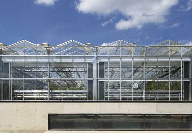 Sainsbury Laboratory glasshouse view from outside Sainsbury Laboratory glasshouse view from outside
