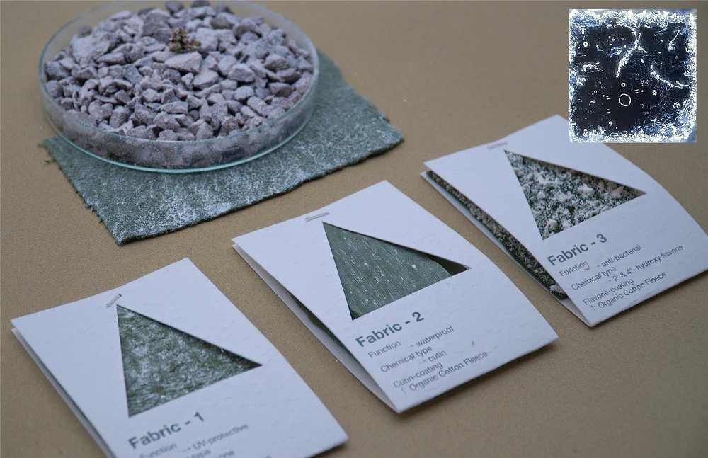 Samples of the textiles that Jehnna Yang has been developing in collaboration with the Sainsbury Laboratory. Inset image is a close-up of the synthetically manufactured flavone wool fibres. Samples of the textiles that Jehnna Yang has been developing in collaboration with the Sainsbury Laboratory. Inset image is a close-up of the synthetically manufactured flavone wool fibres.