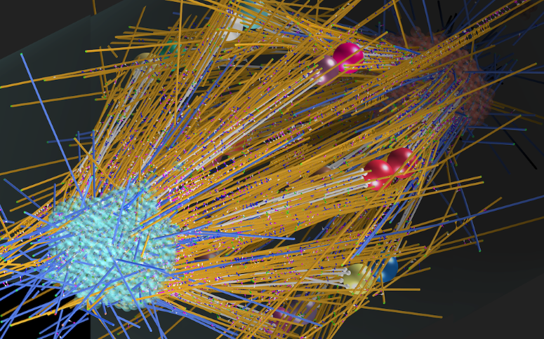 A model of the assembly of mitotic spindle found in roots of arabidopsis. A model of the assembly of mitotic spindle found in roots of arabidopsis.