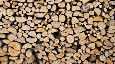 Stack of timber logs viewed from the cut end showing different diametres