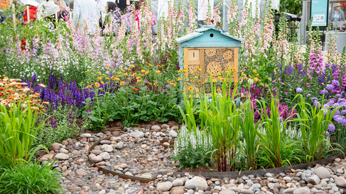 Sainsbury Laboratory exhibit at the RHS Chelsea Flower Show 2025 featuring a shallow water feature shaped as the end of a Fibonacci spiral, with flowing water and large cobblestones inspired by the River Cam, surrounded by colourful pollinator-friendly flowers and an insect hotel.