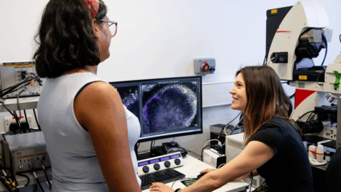 Scientists looking at a legume nodule on a screen. the nodule is being imaged under a microsope.