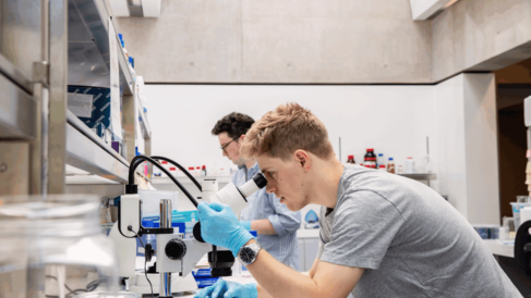 Two scientists working at lab benches, one looking down dissecting microscope, in Sainsbury Laboratory