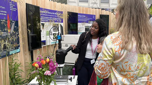 Sainsbury Laboratory scientist Terice Kelly talking to exhibit visitors about grass flower development using a diagram of a grass flower on poster.