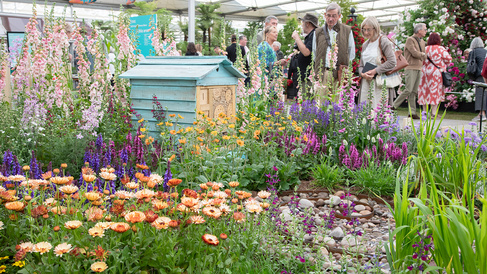 Sainsbury Laboratory exhibit at the RHS Chelsea Flower Show 2025 featuring a shallow water feature shaped as the end of a Fibonacci spiral, with flowing water and large cobblestones inspired by the River Cam, surrounded by colourful pollinator-friendly flowers and an insect hotel.