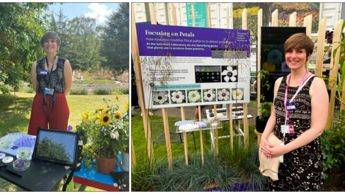 Edwige Berthelot communicating about her research on petal patterning at public outreach events, the Festival of Plants (left) and RHS Chelsea Flower Show (right).